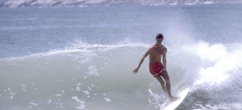 The Endless Summer The Endless Summer