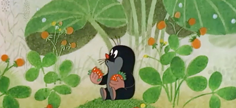 La Petite taupe aime la nature La Petite taupe aime la nature