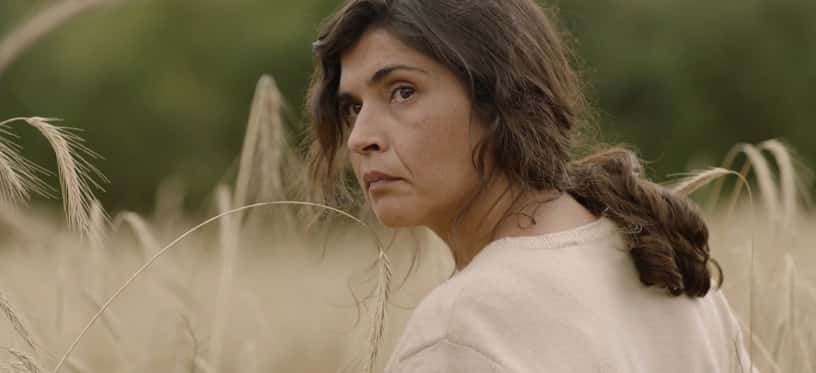 O Corno, une histoire de femmes O Corno, une histoire de femmes