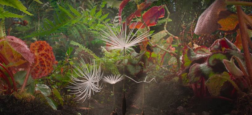 Planètes Planètes