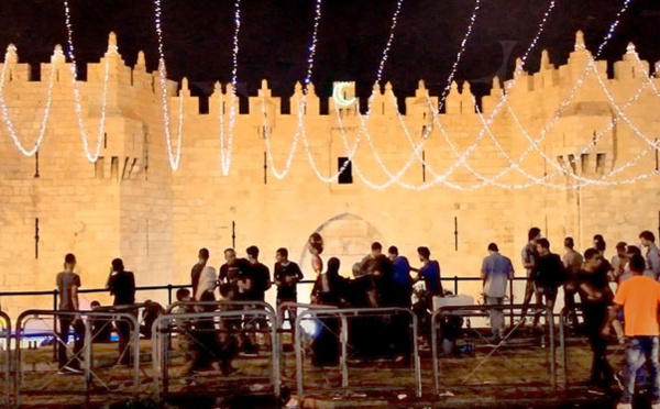 Derrière les fronts : résistances et résiliences en Palestine